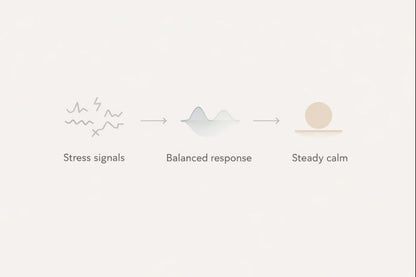 Zyno Ashwagandha Gummies